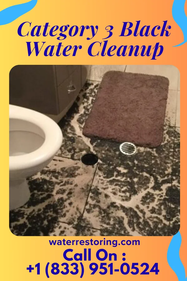 Category 3 Black Water Cleanup in Stedman, NC