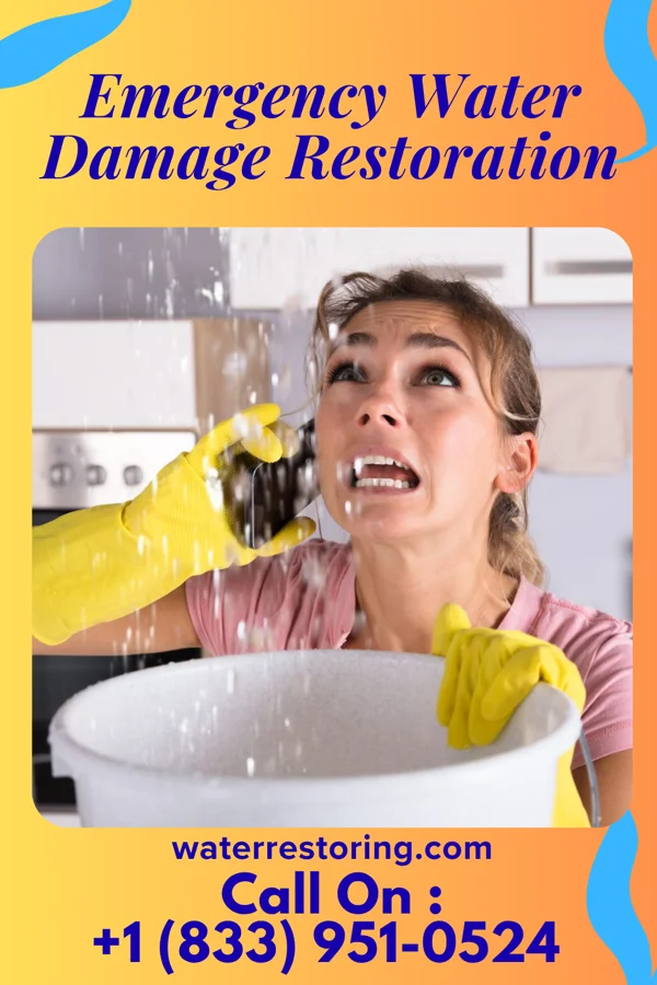 Emergency Water Damage Restoration in Stedman, NC