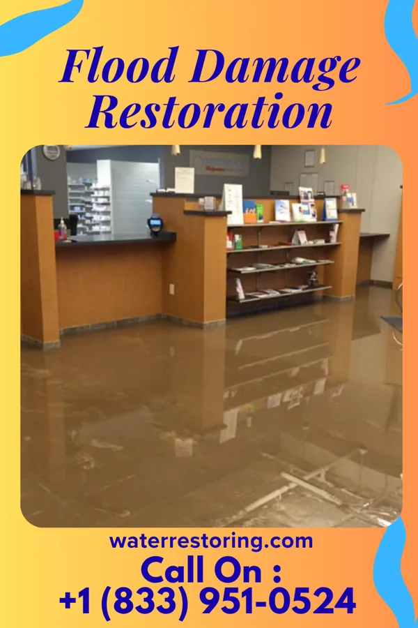 Flood Damage Restoration in Stedman, NC