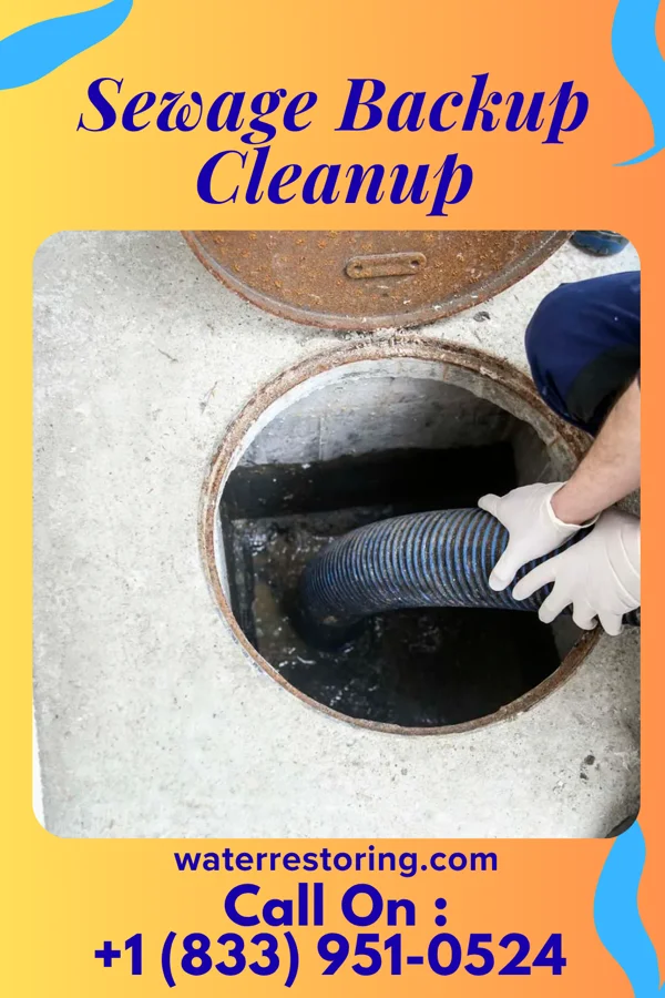 Sewage Backup Cleanup in Stedman, NC