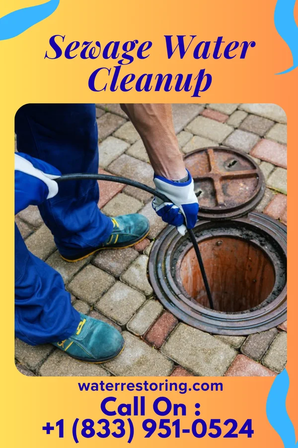 Sewage Water Cleanup in Stedman, NC